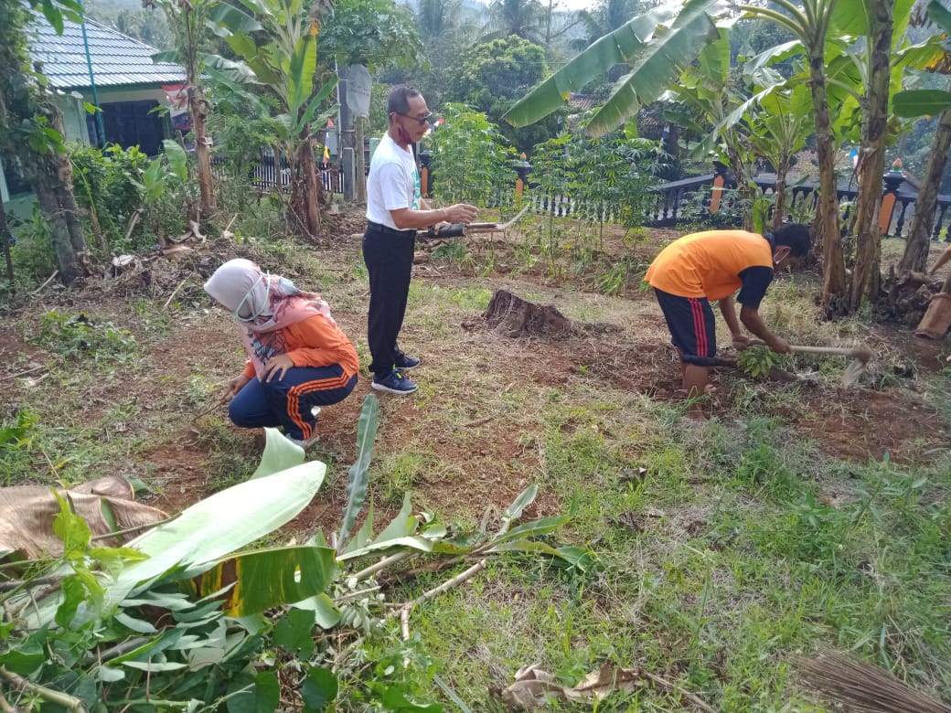 project